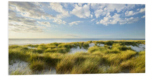 Foam board print View over the dunes