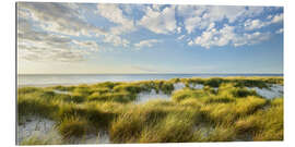 Gallery print View over the dunes