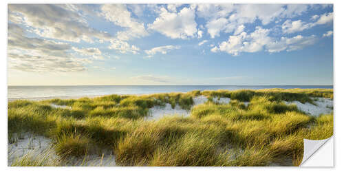 Autocolante decorativo View over the dunes