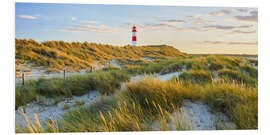 Foam board print Lighthouse in Sylt