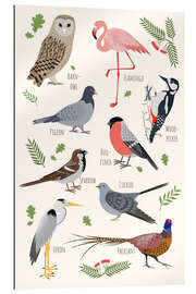 Gallery print Bird Species - English