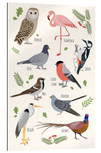 Gallery print Bird species - Dutch