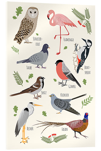 Acrylic print Bird species (German)