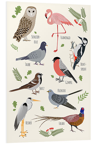 Foam board print Bird species (German)