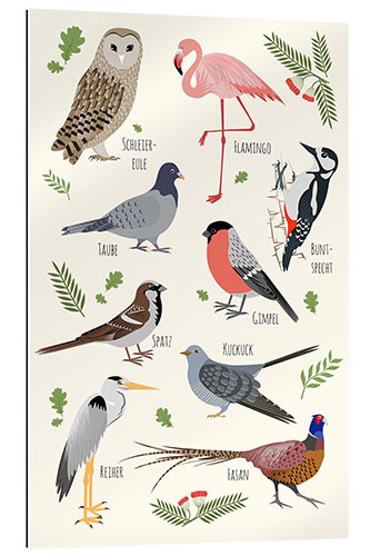 Gallery print Bird species (German)