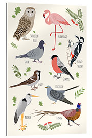 Gallery print Bird species (German)