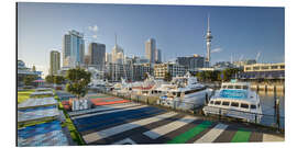 Aluminium print Auckland I