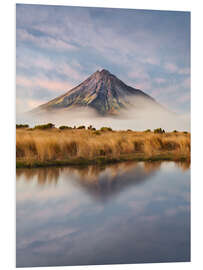 Quadro em PVC Taranaki I