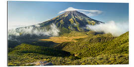 Gallery print Taranaki III