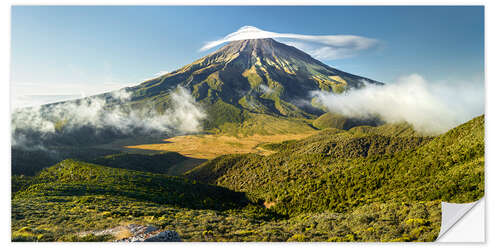 Selvklebende plakat Taranaki III