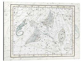 Magnettafel Cygnus, Lacerta und Lyra, Platte 11
