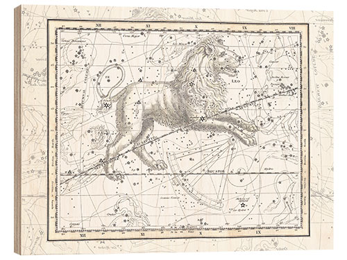 Wood print Leo, plate 17