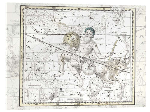 Akrylbilde Aquarius, plate 16