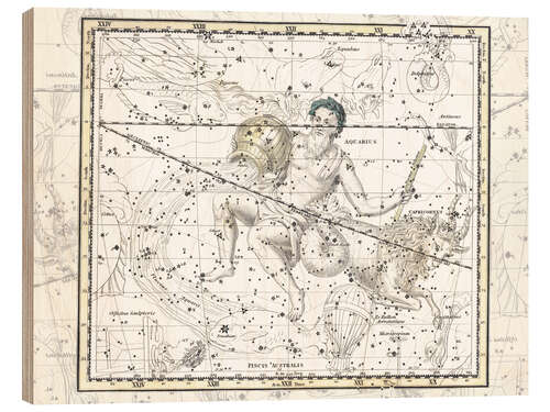 Wood print Aquarius, plate 16