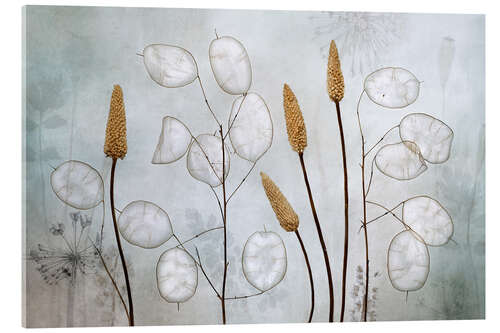 Akryylilasitaulu Lunaria