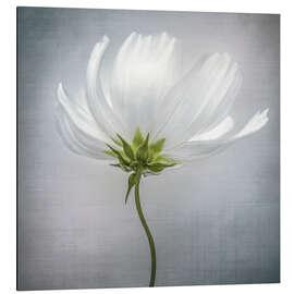 Magnettafel Kosmos I