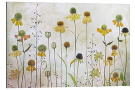 Magnettafel Helenium