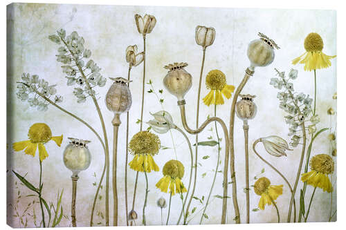 Canvas-taulu Poppy and Helenium