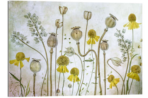 Galleriprint Poppy and Helenium