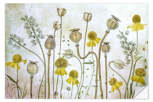 Wall sticker Poppy and Helenium