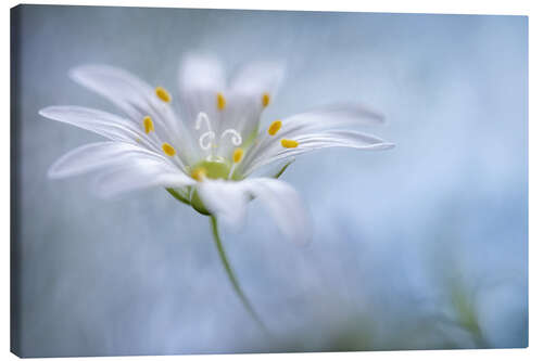 Canvas print Satin flower