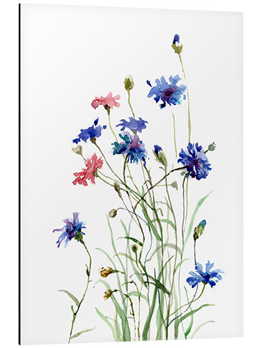 Obraz na aluminium Cornflowers watercolor