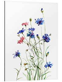 Alumiinitaulu Cornflowers watercolor