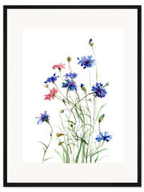 Gerahmter Kunstdruck Kornblumen Aquarell