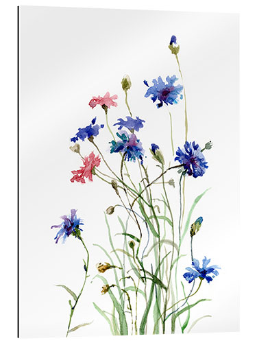 Quadro em plexi-alumínio Cornflowers watercolor