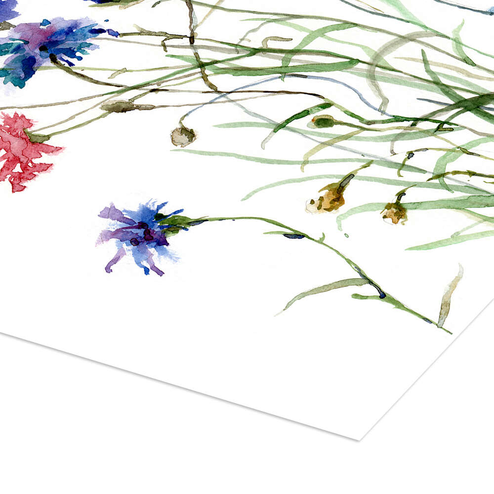 Cornflowers outlet Watercolour Print