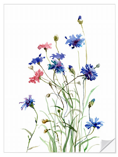 Selvklebende plakat Cornflowers watercolor