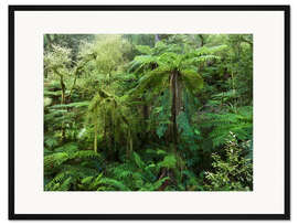 Gerahmter Kunstdruck Urwald III