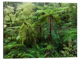 Magnettafel Urwald III