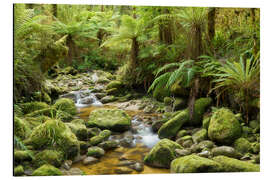 Magnettafel Urwald II