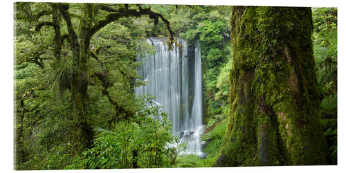 Quadro em acrílico Korokoro Falls