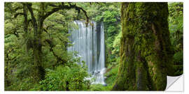 Selvklebende plakat Korokoro Falls