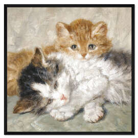 Gerahmter Kunstdruck Schlafende Kätzchen