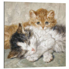 Magnettafel Schlafende Kätzchen