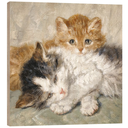 Hout print Sleeping kittens