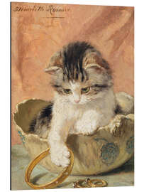 Magnettafel Ein Kätzchen spielt mit Schmuck