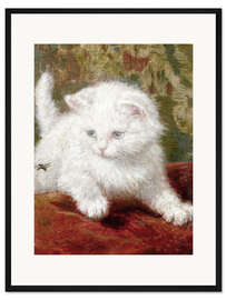 Gerahmter Kunstdruck Neugierde