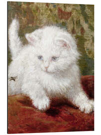 Magnettafel Neugierde