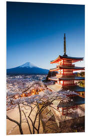 Quadro em PVC Chureito pagoda and Mt. Fuji at night, Japan