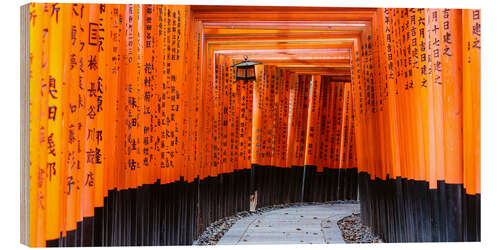 Trebilde Torii gates at Fushimi Inari Shrine, Kyoto