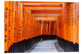 Foam board print Torii gates at Fushimi Inari temple, Kyoto