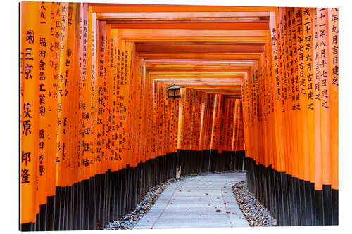 Quadro em plexi-alumínio Torii gates at Fushimi Inari temple, Kyoto