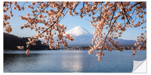 Selvklebende plakat Mt. Fuji with cherry tree panoramic, Japan