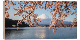 Quadro de madeira Mt. Fuji with cherry tree panoramic, Japan