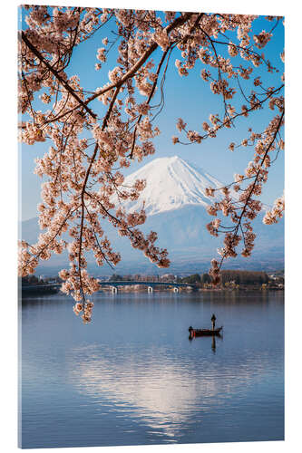 Acrylglasbild Mt. Fuji im Frühjahr mit Kirschbäumen