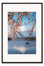 Gerahmter Kunstdruck Mt. Fuji im Frühjahr mit Kirschbäumen